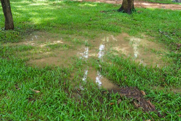 Cost of Storm Water Drainage Service in Doylestown