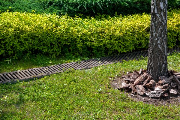 Cost of Residential Landscape Drainage in Doylestown