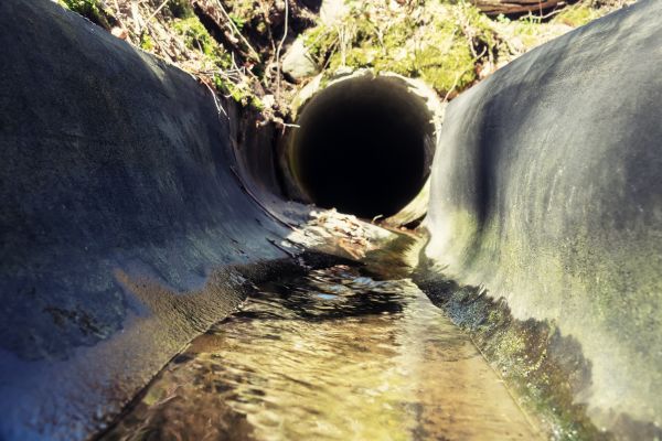 Cost of Drainage Swale Installation in Doylestown